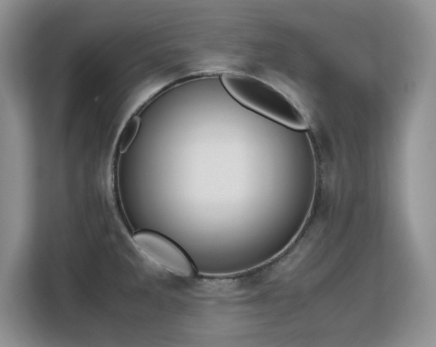 X0000113151285200909110947