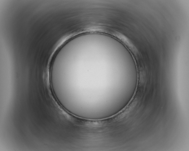 X0000113151286200909110947