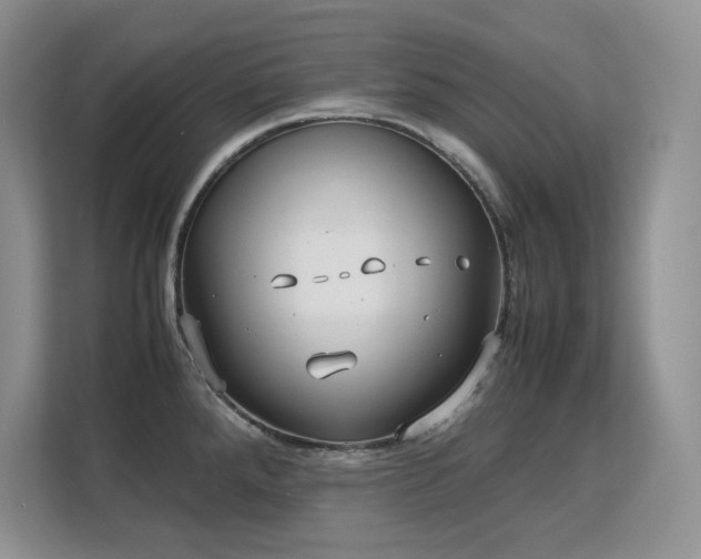 X0000113151288200909110946