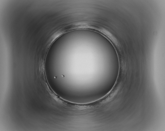 X0000113151289200909110946