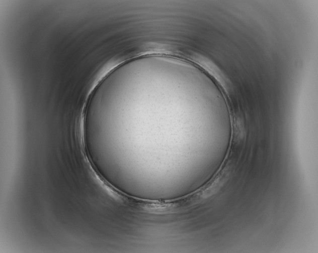 X0000113151290200909110946