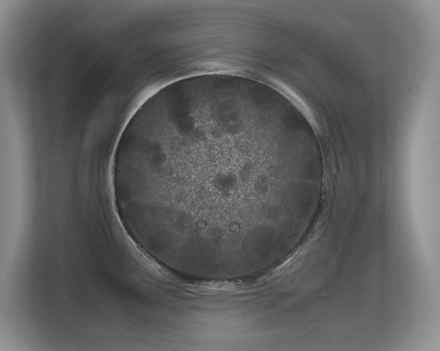 X0000113151291200909110946