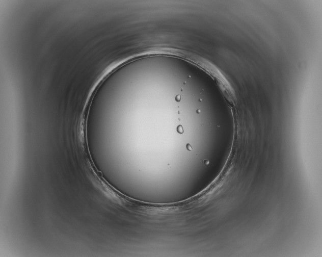 X0000113151292200909110946