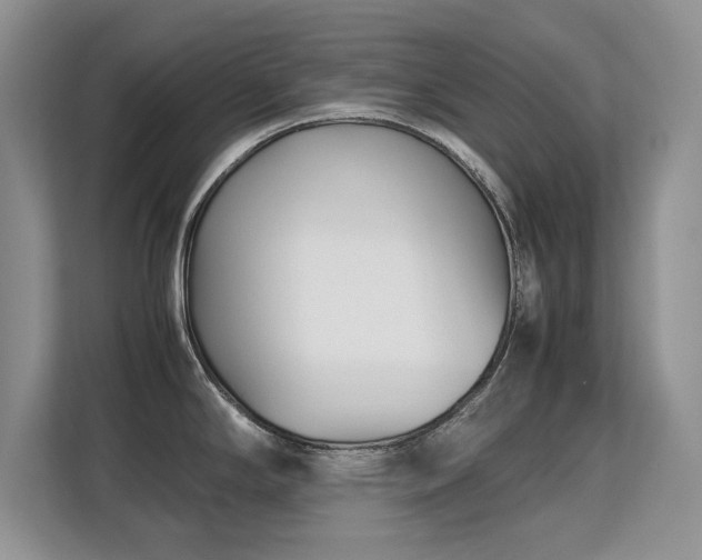 X0000113151294200909110946