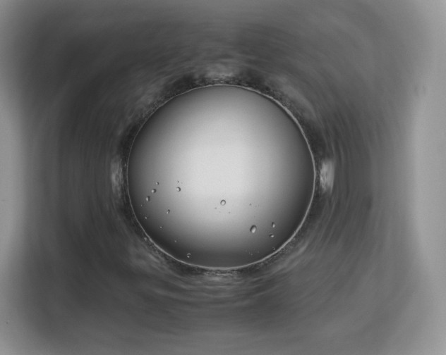 X0000113151299200909110946