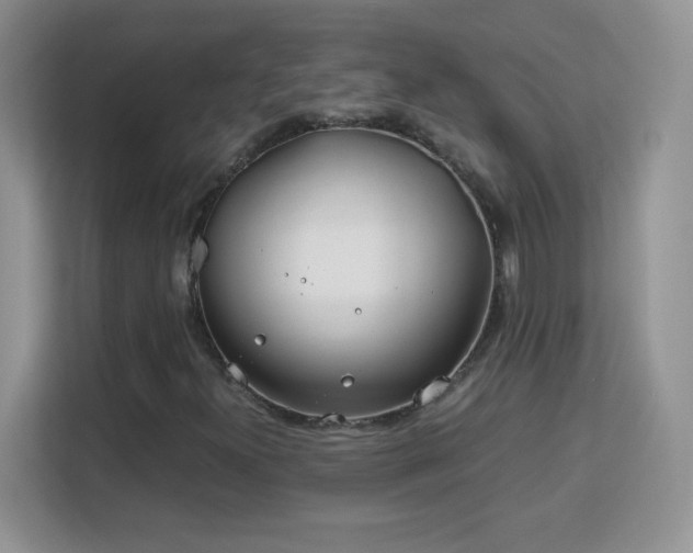 X0000113151300200909110946