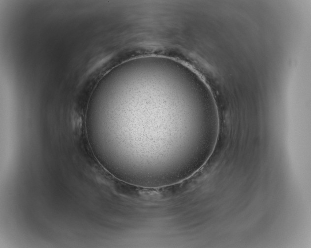 X0000113151302200909110946