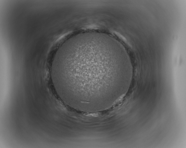 X0000113151303200909110946