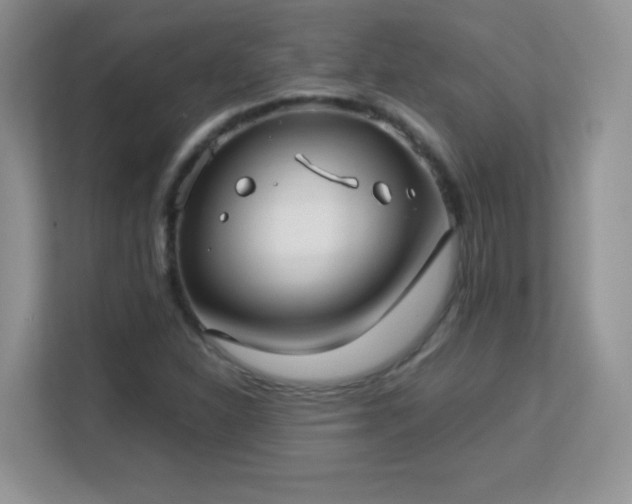 X0000113151310200909110946