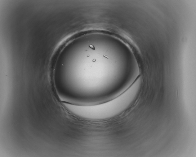 X0000113151312200909110946