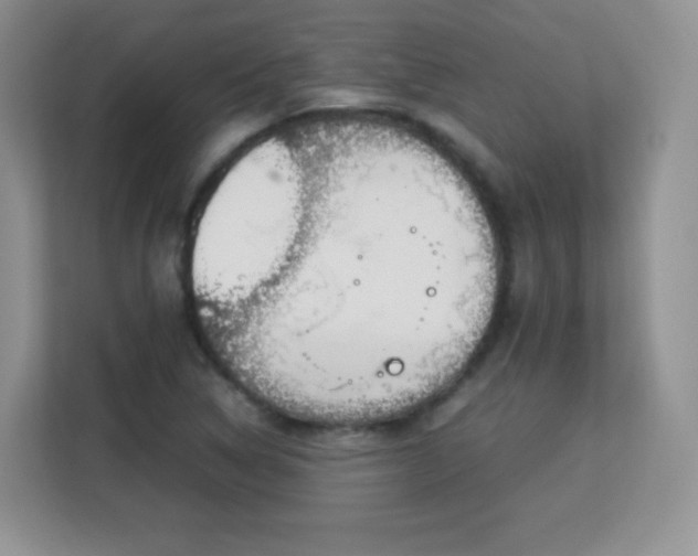 X0000113151314200909110946