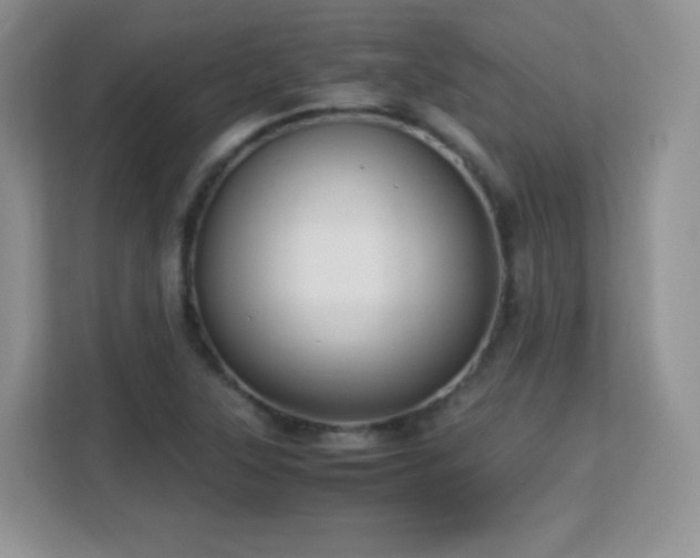 X0000113151315200909110946