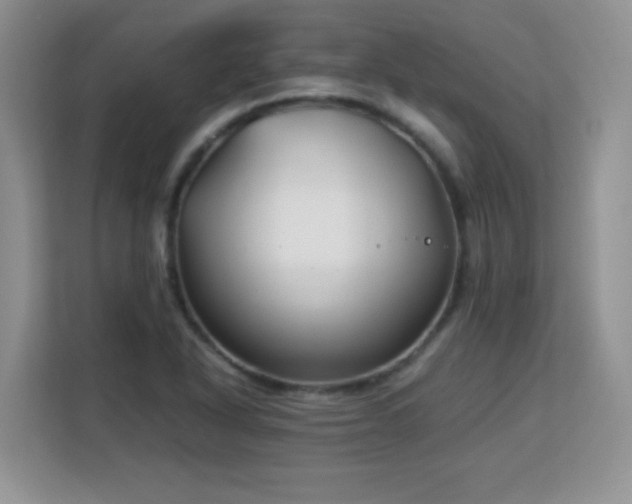 X0000113151318200909110946