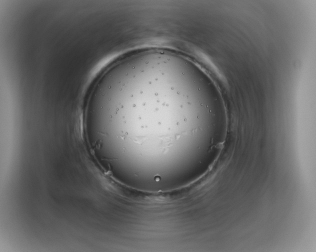 X0000113151320200909110946