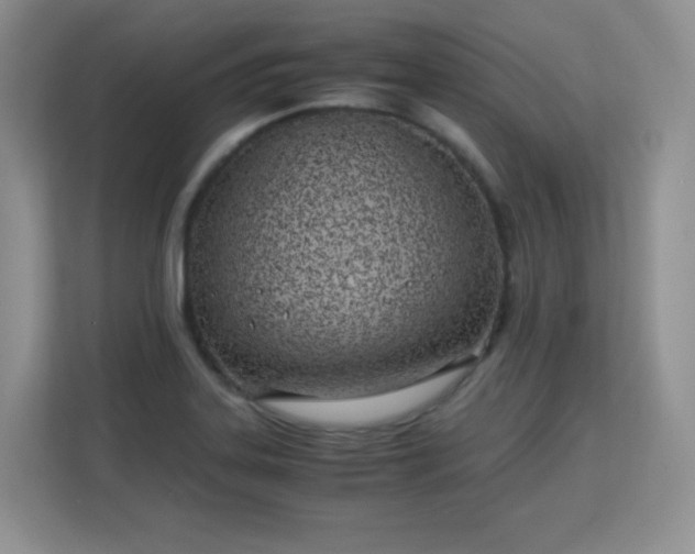 X0000113151323200909110946