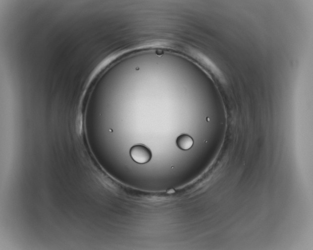 X0000113151324200909110946