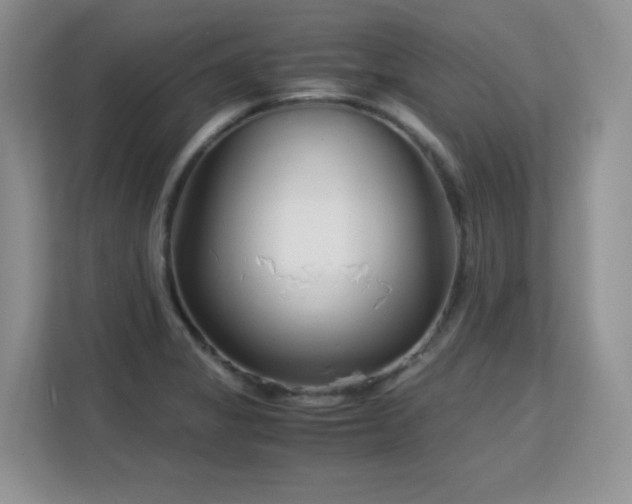 X0000113151325200909110946