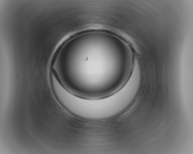 X0000113151326200909110946