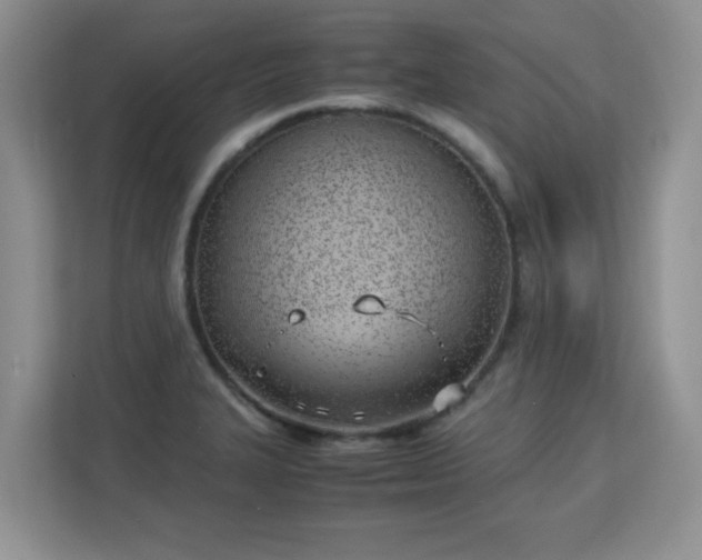 X0000113151327200909110946