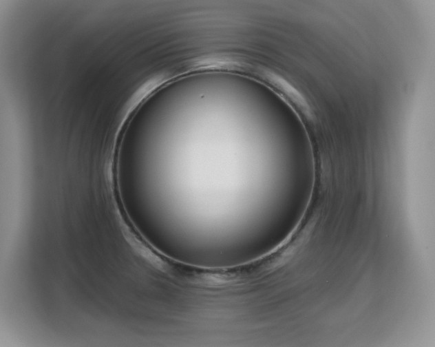 X0000113151330200909110946