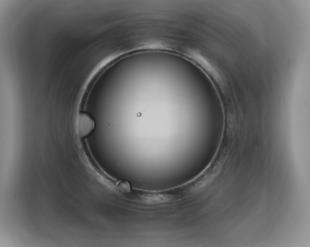 X0000113151331200909110946