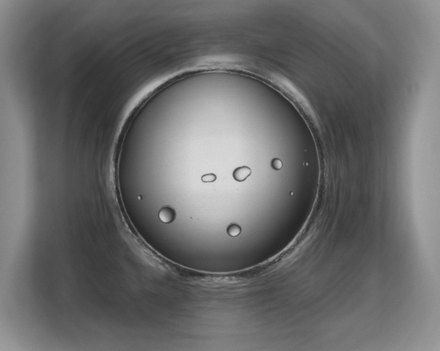 X0000113151336200909110946