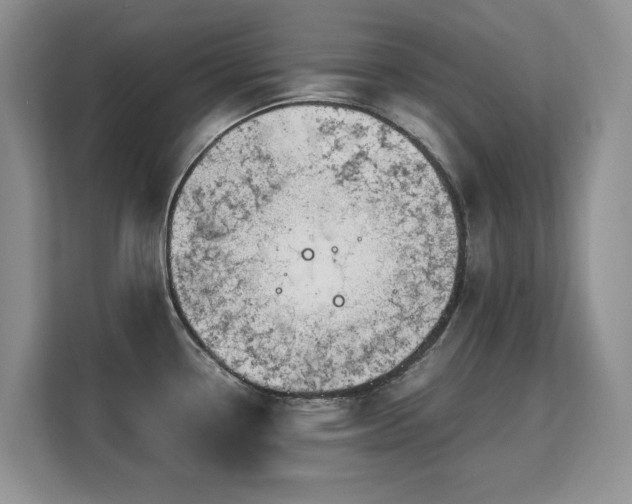 X0000113151338200909110946