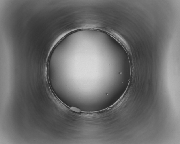 X0000113151340200909110946