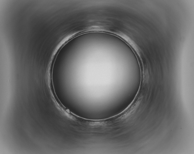 X0000113151341200909110946