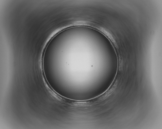 X0000113151342200909110946