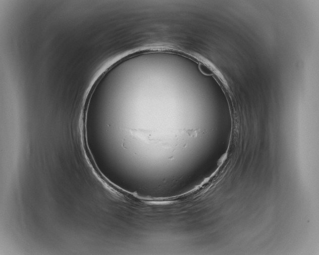 X0000113151343200909110946