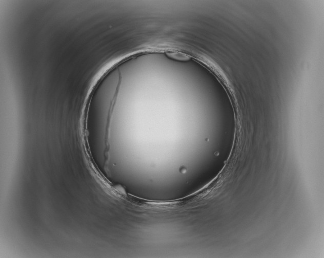 X0000113151344200909110946