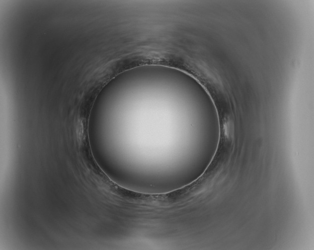 X0000113151347200909110946