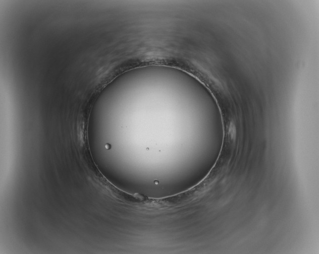 X0000113151348200909110946