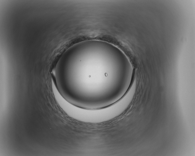 X0000113151349200909110946