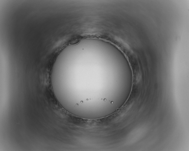 X0000113151350200909110946