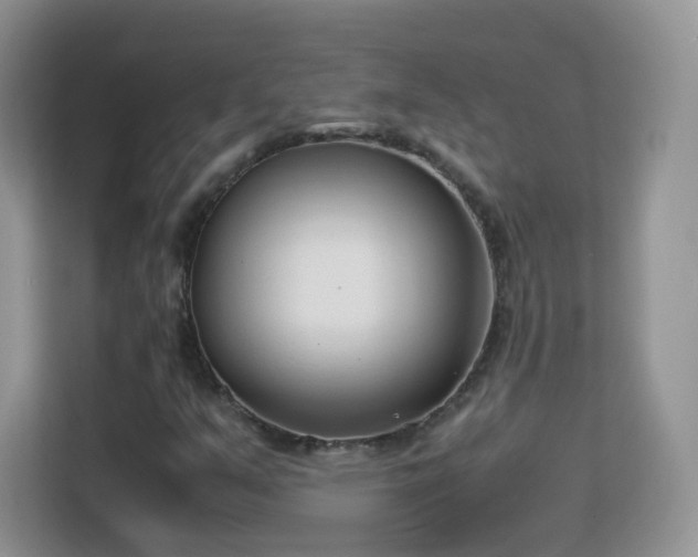 X0000113151351200909110946