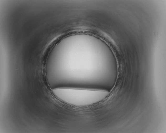 X0000113151352200909110946