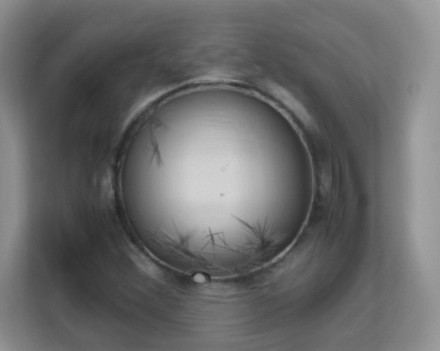 X0000113151356200909110946