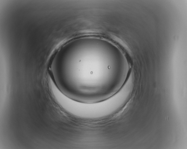 X0000113151357200909110946