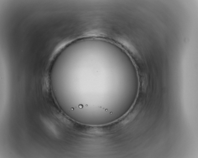 X0000113151358200909110946