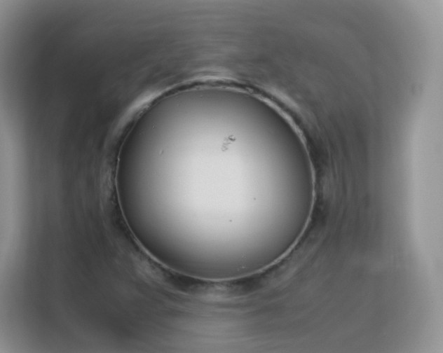 X0000113151359200909110946