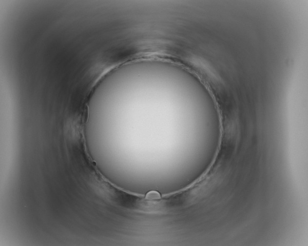 X0000113151361200909110946