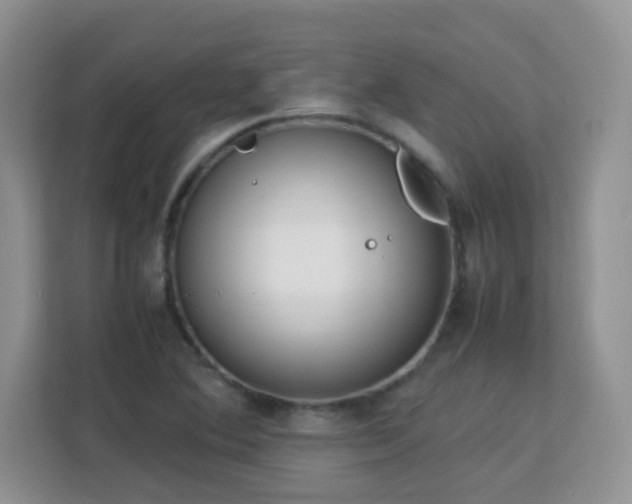 X0000113151364200909110946