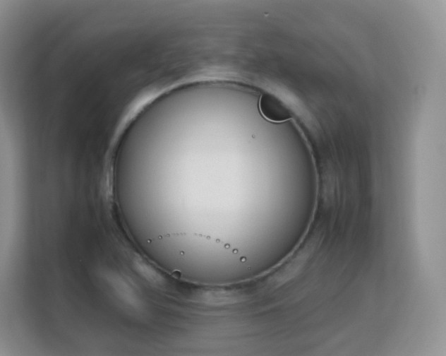 X0000113151366200909110945