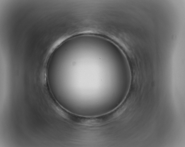 X0000113151367200909110945