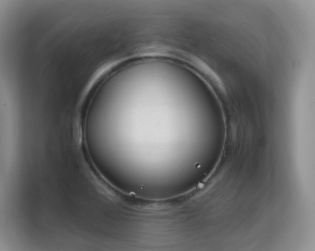 X0000113151368200909110945