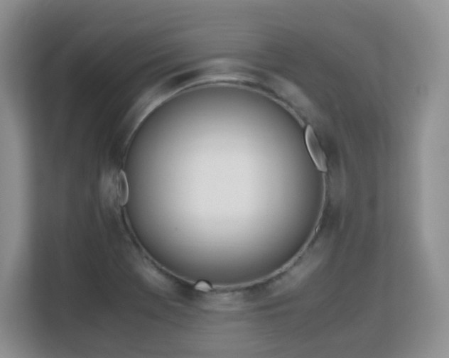 X0000113151369200909110945