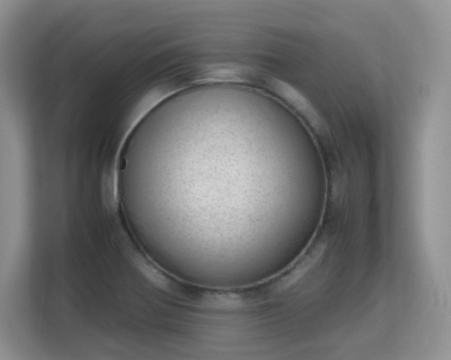 X0000113151370200909110945