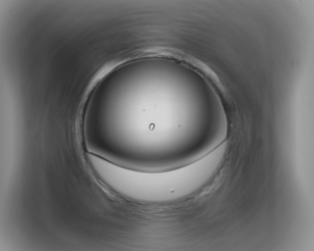 X0000113151373200909110945